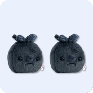Forgotten Blueberry Plush 2PCS