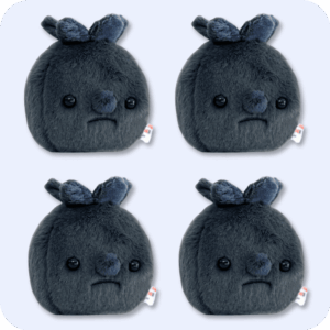 Forgotten Blueberry Plush 4PCS